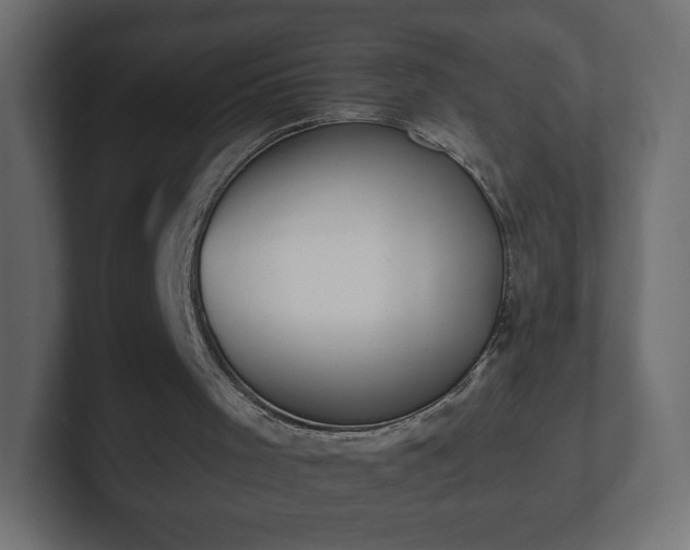 X0000103170001200808291520