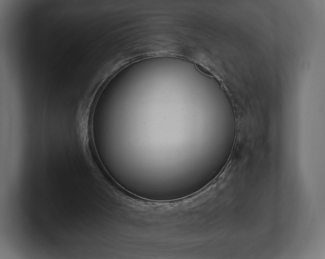 X0000103170002200808291519