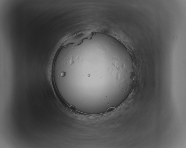 X0000103170003200808291519