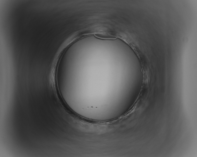 X0000103170004200808291519