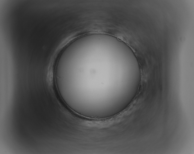 X0000103170005200808291519