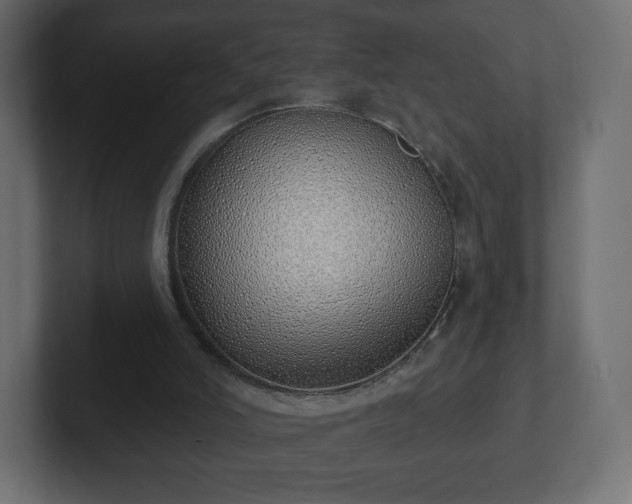 X0000103170006200808291519