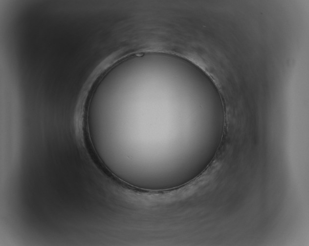 X0000103170007200808291519