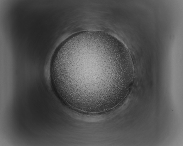 X0000103170008200808291519