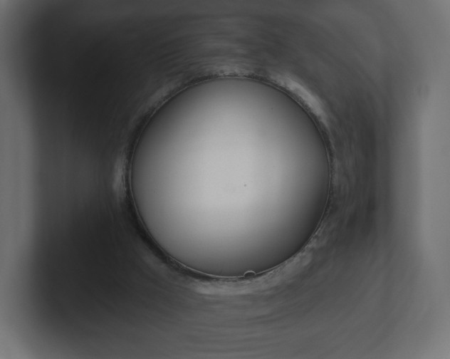 X0000103170009200808291519