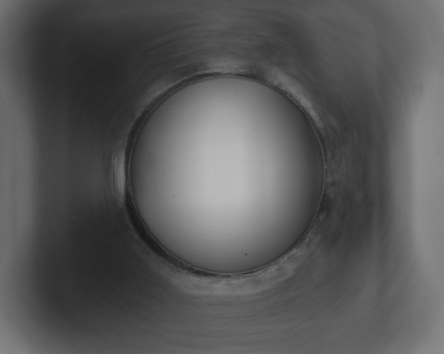 X0000103170011200808291519