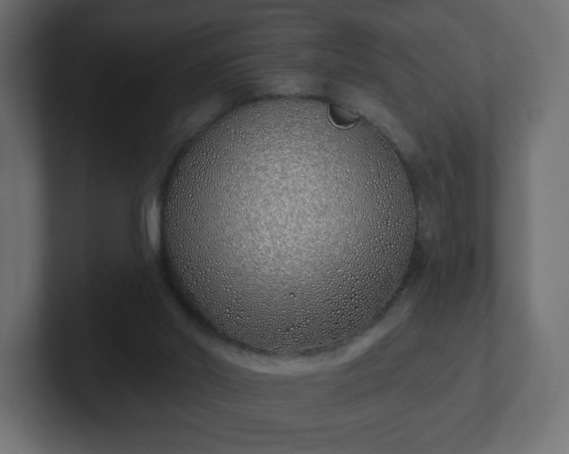 X0000103170014200808291519