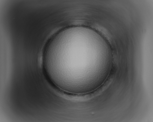 X0000103170016200808291519