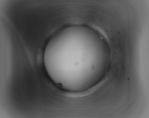 X0000103170017200808291519