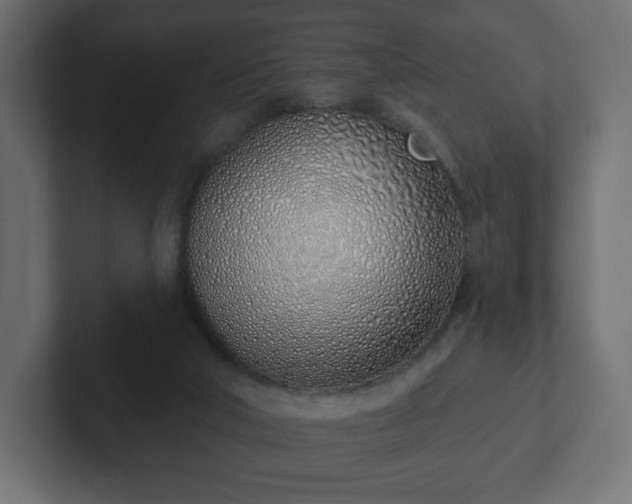 X0000103170018200808291519