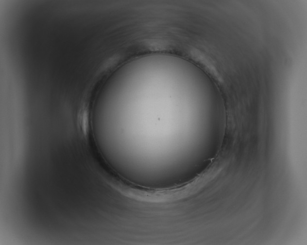 X0000103170019200808291519