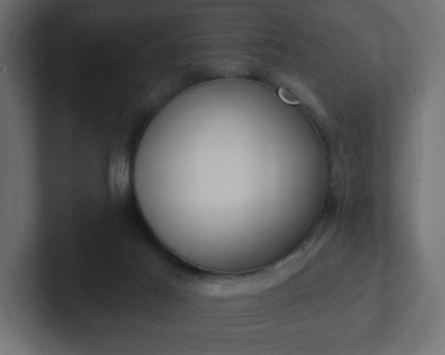 X0000103170021200808291519