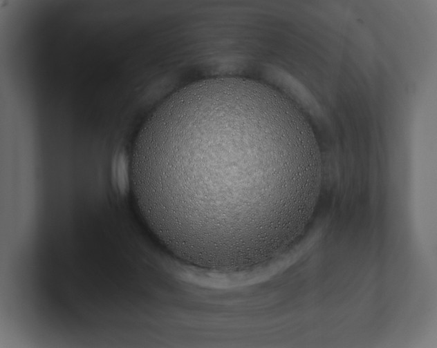 X0000103170022200808291519