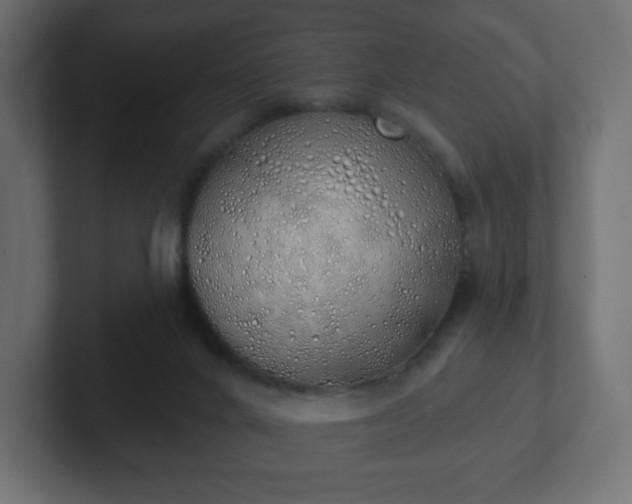 X0000103170024200808291519