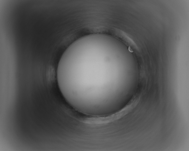 X0000103170025200808291519