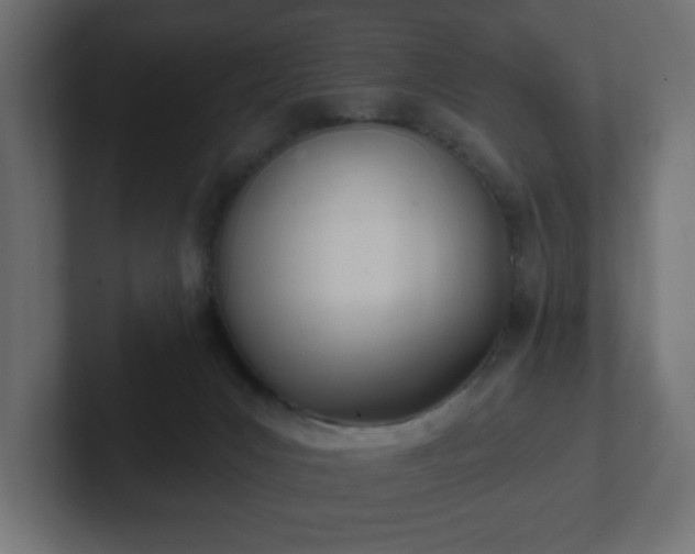 X0000103170031200808291519