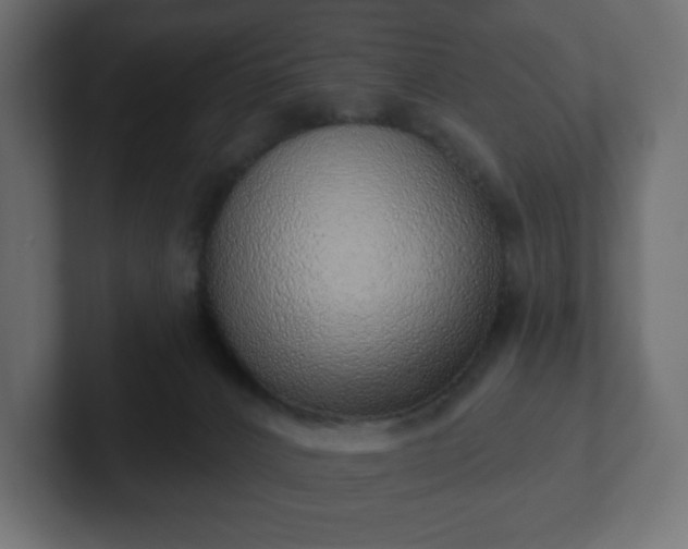 X0000103170032200808291519