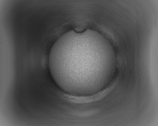 X0000103170034200808291519