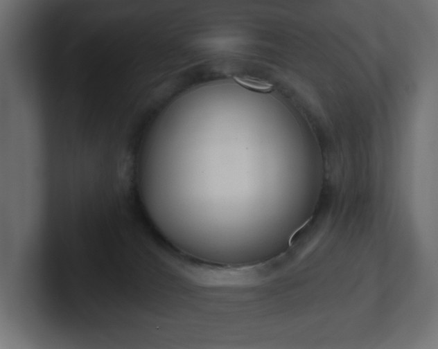 X0000103170036200808291519