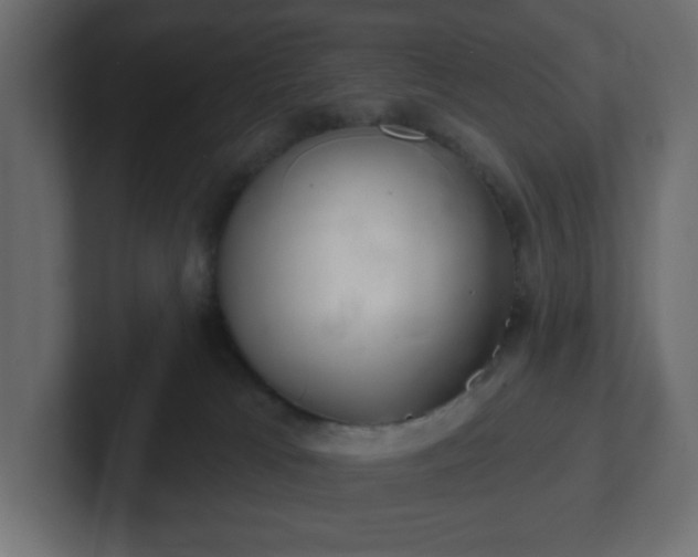 X0000103170037200808291519