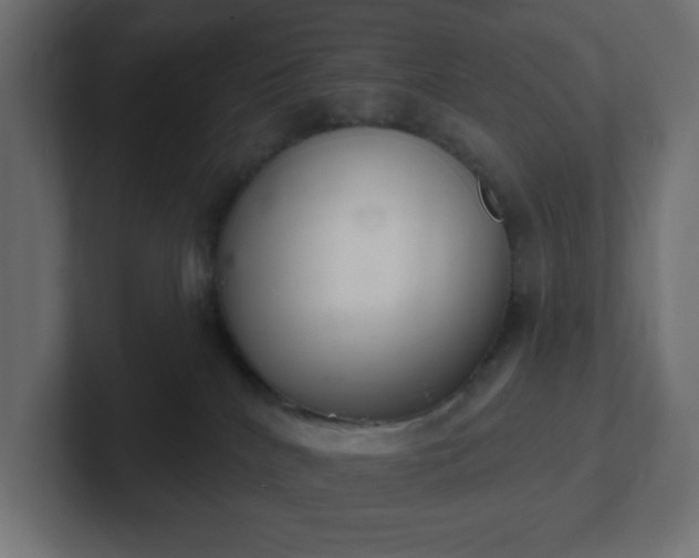 X0000103170040200808291519