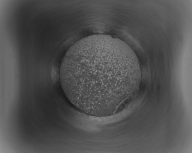 X0000103170043200808291519