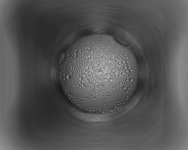 X0000103170044200808291519