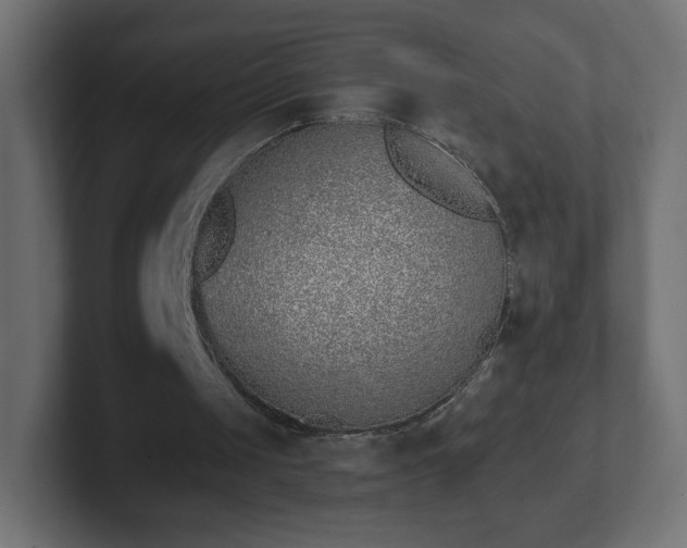 X0000103170049200808291518