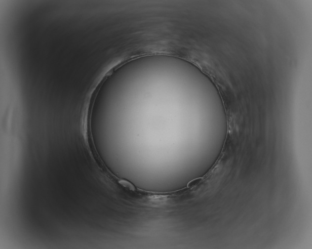 X0000103170052200808291518