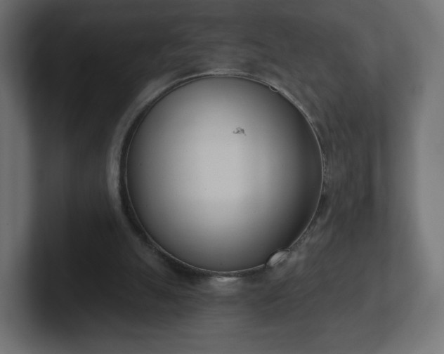 X0000103170055200808291518