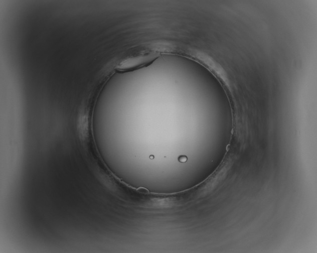 X0000103170057200808291518