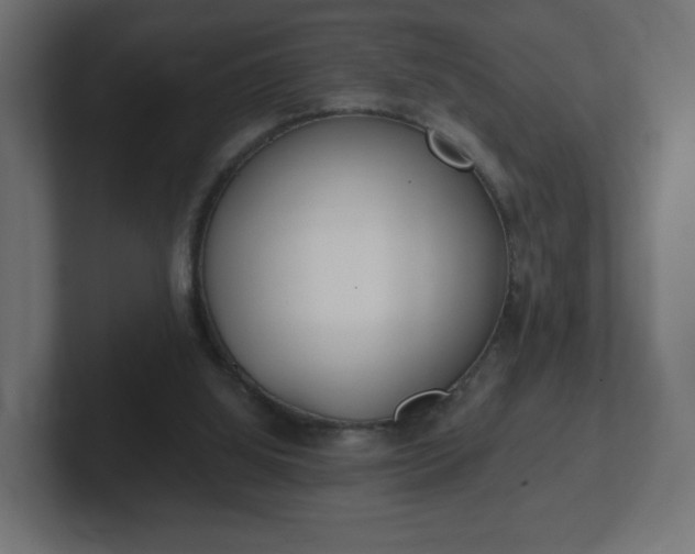 X0000103170060200808291518