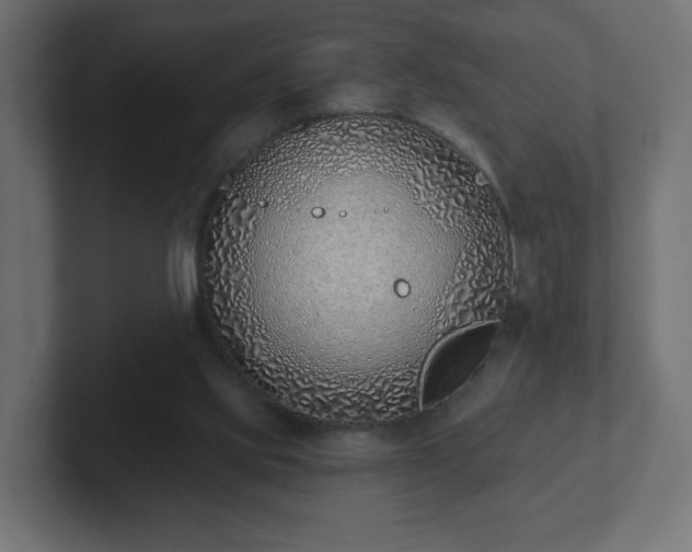 X0000103170061200808291518