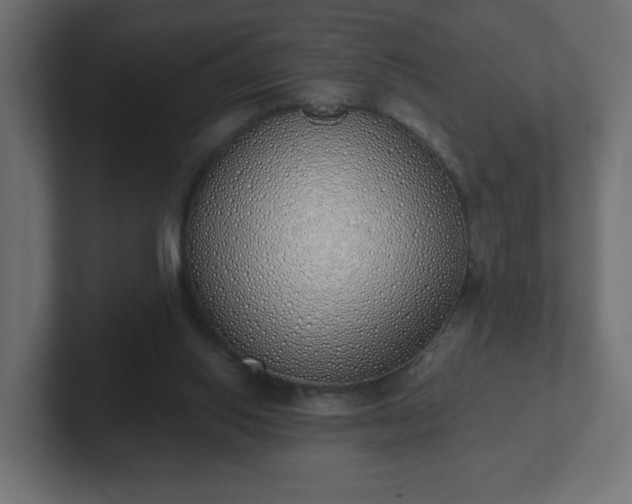 X0000103170062200808291518