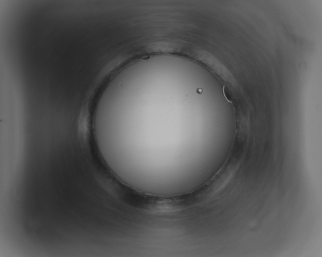 X0000103170064200808291518