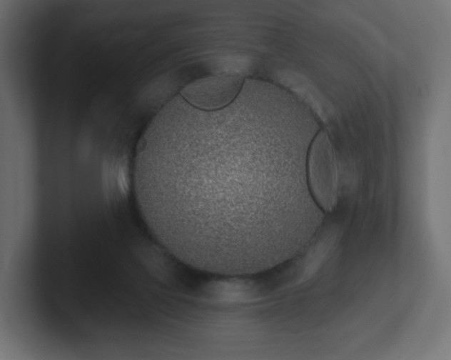 X0000103170069200808291519