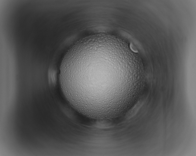 X0000103170070200808291519