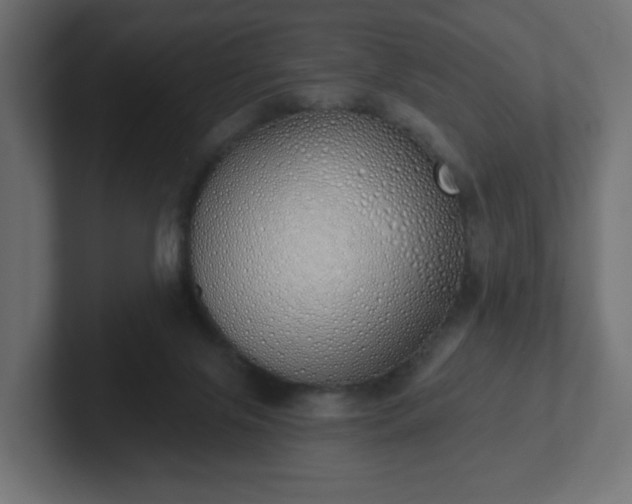 X0000103170071200808291519