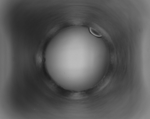 X0000103170072200808291519