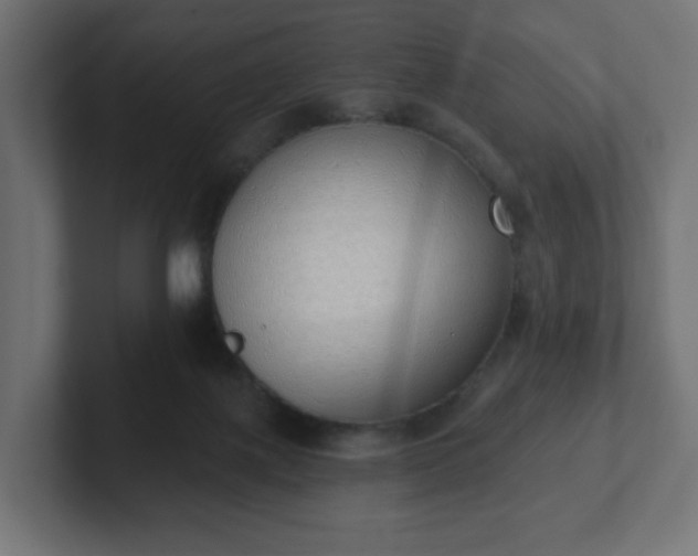 X0000103170075200808291519