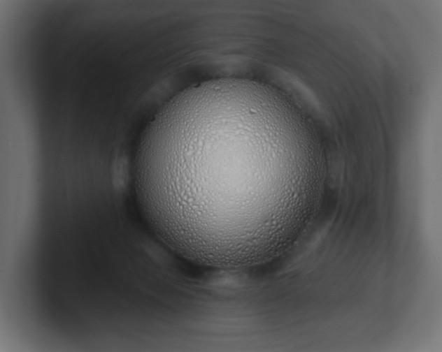 X0000103170077200808291519