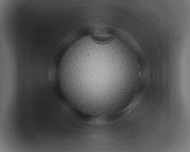 X0000103170078200808291519