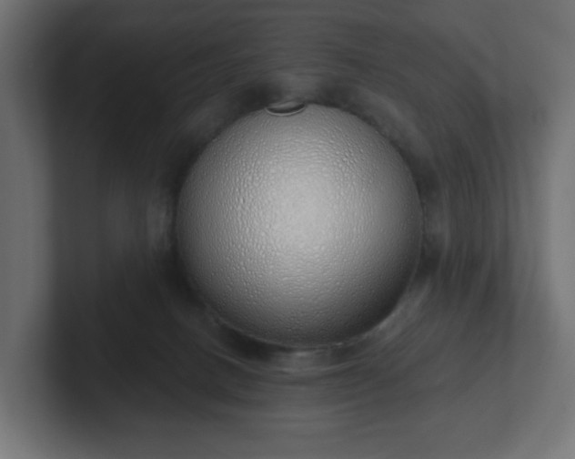 X0000103170082200808291519