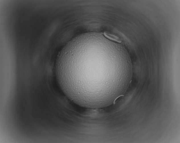 X0000103170083200808291519