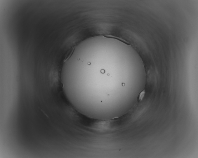 X0000103170084200808291519