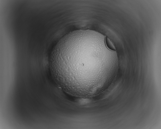 X0000103170085200808291519