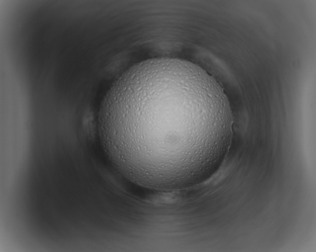 X0000103170086200808291519