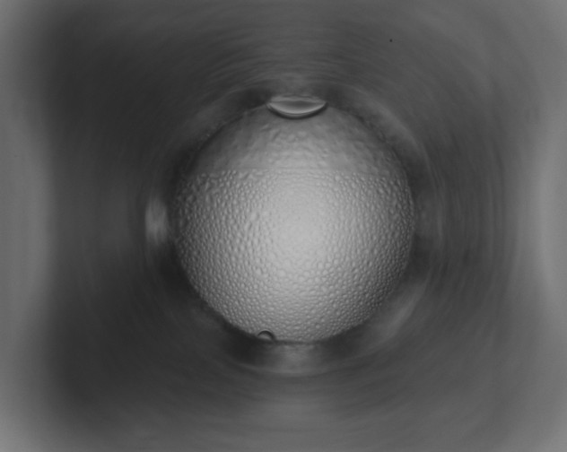 X0000103170089200808291519