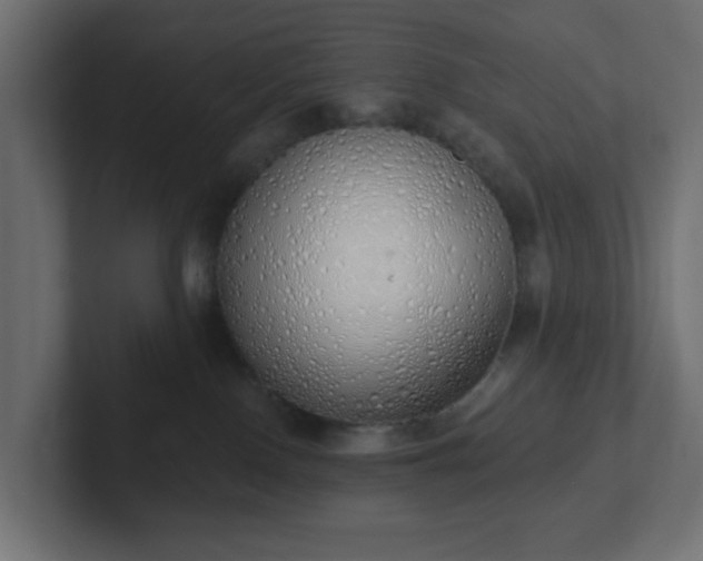 X0000103170090200808291519