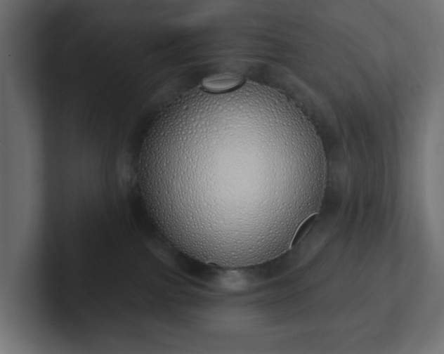 X0000103170091200808291519